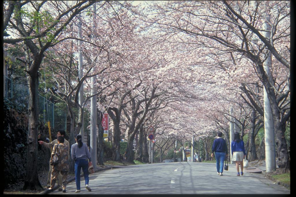 Pension Nova Atami  Bagian luar foto
