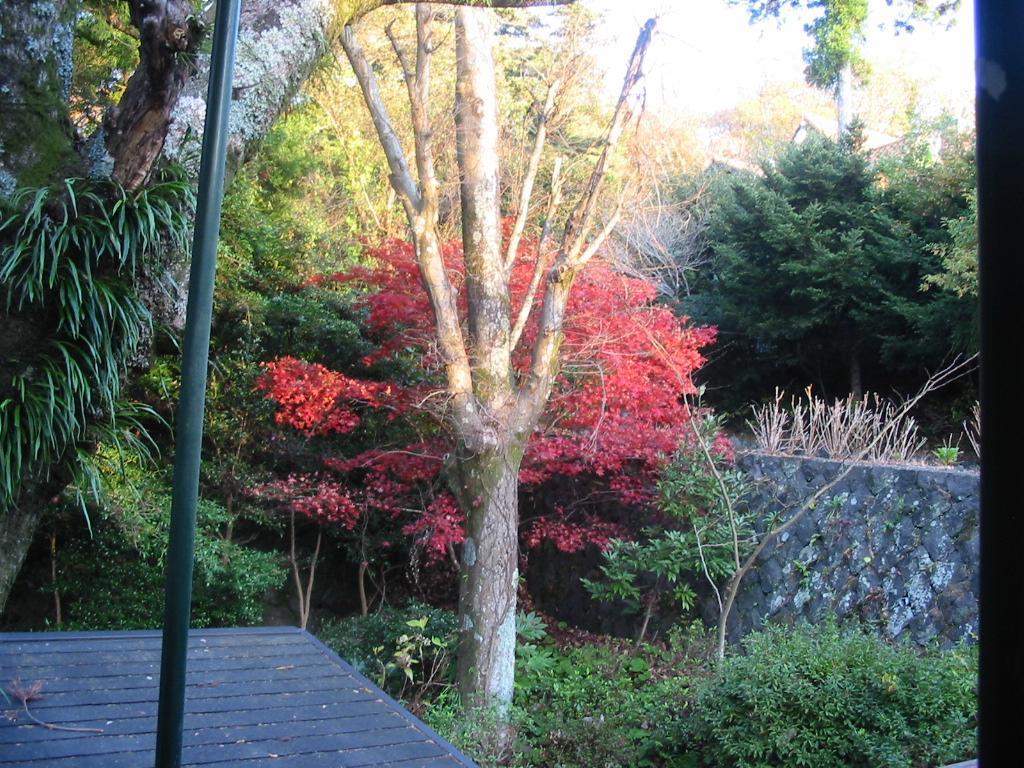 Pension Nova Atami  Bagian luar foto